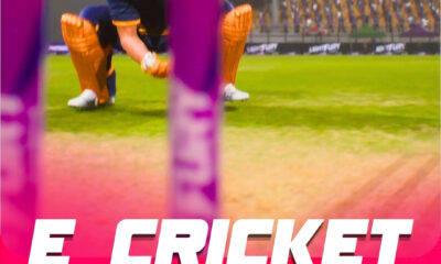 E Cricket New Gameplay Visuals Revealed